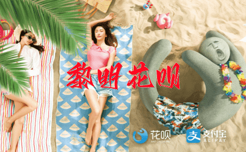 蛇鼠一窝花呗